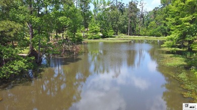 Rustic charm convenient to town! Check out this 4 bedroom, 3 - photo 8