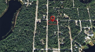 Deer Back Lake Lot For Sale in Fort Mccoy Florida