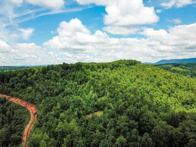 Introducing Lot 7 by Norris Lake in Union County, Tennessee: - photo 13