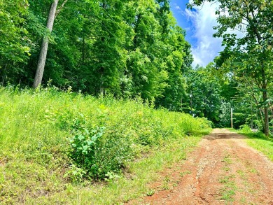 Introducing Lot 7 by Norris Lake in Union County, Tennessee: - photo 20