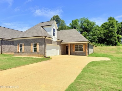 Lake Home For Sale in Walls, Mississippi