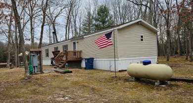 Lake Home For Sale in Baldwin, Michigan