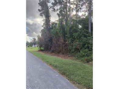 Lehigh Acres Area Lot Sale Pending in Lehigh Acres Florida