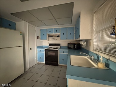 This move-in-ready 2-bedroom, 1-bathroom ground-floor condo - photo 5