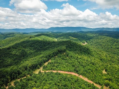 Introducing Lot 8 by Norris Lake in Union County, Tennessee: - photo 12