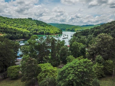 Introducing Lot 8 by Norris Lake in Union County, Tennessee: - photo 15