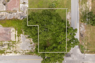 PRICE IMPROVEMENT! Gorgeous lot just steps from the Gulf. Prime - photo 6