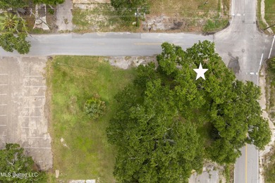 PRICE IMPROVEMENT! Gorgeous lot just steps from the Gulf. Prime - photo 9