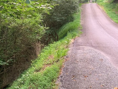 Year Round Mountain and Lake View Lot for sale Near town of - photo 3