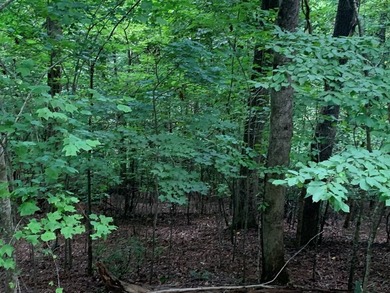 Year Round Mountain and Lake View Lot for sale Near town of - photo 6