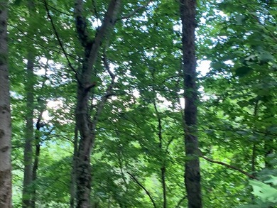 Year Round Mountain and Lake View Lot for sale Near town of - photo 7