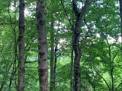 Year Round Mountain and Lake View Lot for sale Near town of - photo 9