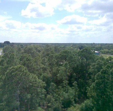 Orange Lake Lot For Sale in Citra Florida
