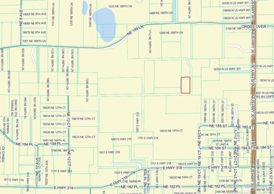 *** GREAT 1.93 ACRE LOT in Citra. *** No HOA! It offers enough - photo 3