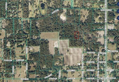 *** GREAT 1.93 ACRE LOT in Citra. *** No HOA! It offers enough - photo 4