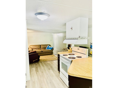 Enjoy lake life at its finest with this charming Beaver Lake - photo 10