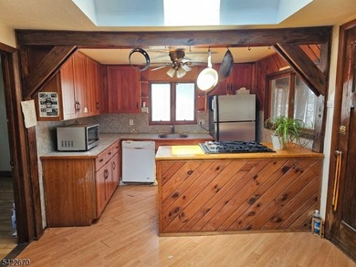 This ranch style home is being sold strictly as-is and requires - photo 3