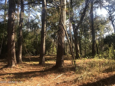 Waterfront! This is your chance to own 2.08 acres on desired - photo 14