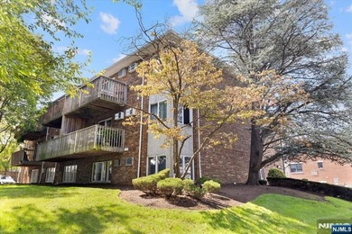 Welcome to this spacious, pet-friendly, ADA compliant - photo 17