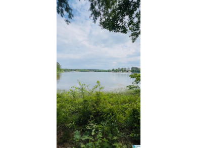 Lay Lake Lot For Sale in Sylacauga Alabama