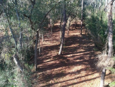 Waterfront! This is your chance to own 2.08 acres on desired - photo 22