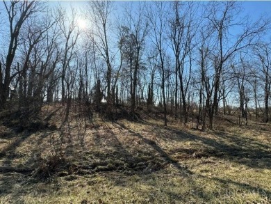 Lake Lot For Sale in Sardinia, Ohio