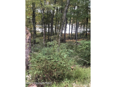 (private lake, pond, creek) Lot For Sale in Bushkill Pennsylvania