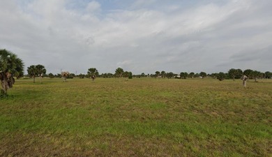 Rotunda Meadows Lakes  Lot For Sale in Placida Florida