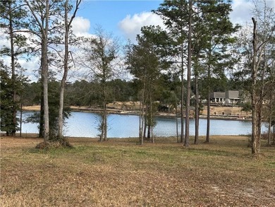 ***LAKE LOT*** APPROXIMATELY 1.4 ACRE LOT ON HEADWATERS LAKE IN - photo 2