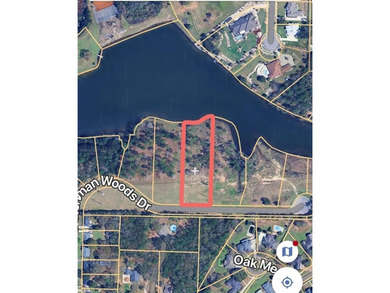 ***LAKE LOT*** APPROXIMATELY 1.4 ACRE LOT ON HEADWATERS LAKE IN - photo 4