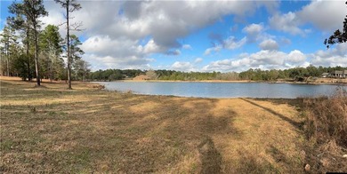 ***LAKE LOT*** APPROXIMATELY 1.4 ACRE LOT ON HEADWATERS LAKE IN - photo 5
