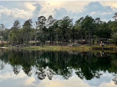 ***LAKE LOT*** APPROXIMATELY 1.4 ACRE LOT ON HEADWATERS LAKE IN - photo 6
