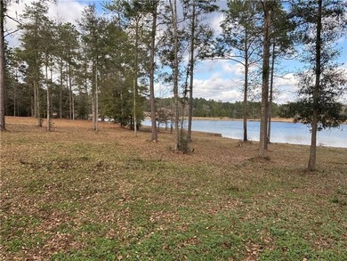 ***LAKE LOT*** APPROXIMATELY 1.4 ACRE LOT ON HEADWATERS LAKE IN - photo 9