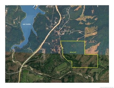 161.6+/- wooded acres near beautiful Lake Tenkiller offering - photo 1