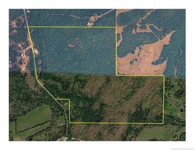 161.6+/- wooded acres near beautiful Lake Tenkiller offering - photo 2