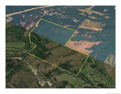 161.6+/- wooded acres near beautiful Lake Tenkiller offering - photo 3