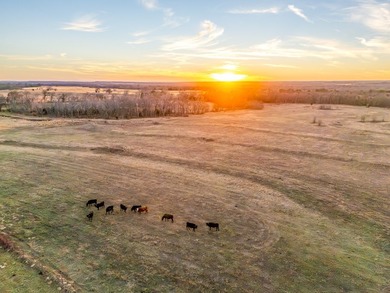 Welcome to the Clearview Ranch, an incredible 635 +/- acre cross - photo 3