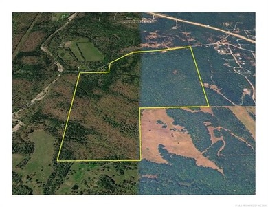 161.6+/- wooded acres near beautiful Lake Tenkiller offering - photo 4