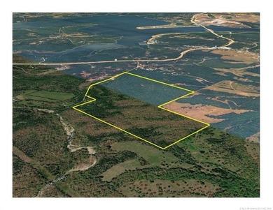 161.6+/- wooded acres near beautiful Lake Tenkiller offering - photo 5