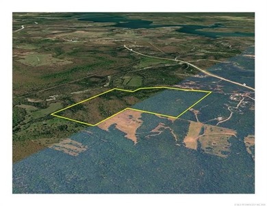 161.6+/- wooded acres near beautiful Lake Tenkiller offering - photo 6