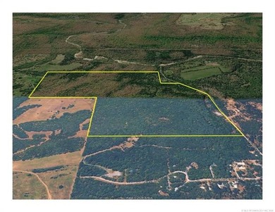 161.6+/- wooded acres near beautiful Lake Tenkiller offering - photo 7
