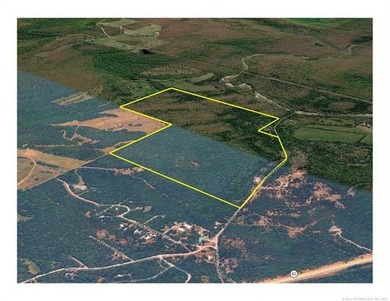 161.6+/- wooded acres near beautiful Lake Tenkiller offering - photo 8