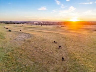 Welcome to the Clearview Ranch, an incredible 635 +/- acre cross - photo 8