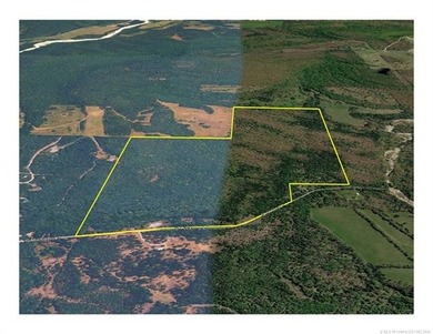 161.6+/- wooded acres near beautiful Lake Tenkiller offering - photo 9
