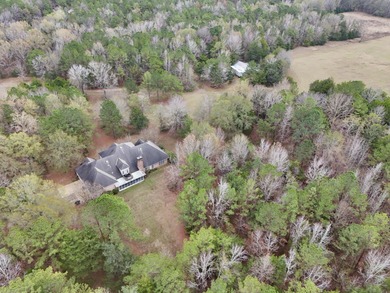 Lake Home For Sale in Mathews, Alabama