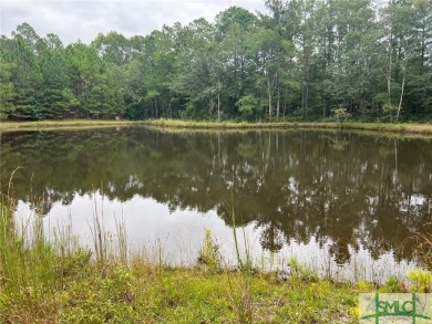 Lake Acreage For Sale in Guyton, Georgia