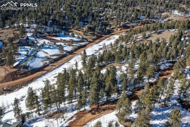 (private lake, pond, creek) Acreage For Sale in Divide Colorado