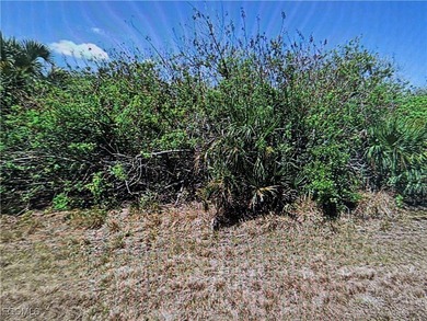 Port Charlotte Waterway Area Lot For Sale in Port Charlotte Florida