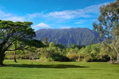 40-acre Ranch with flowing stream and a variety of expansive - photo 3
