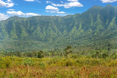 40-acre Ranch with flowing stream and a variety of expansive - photo 5